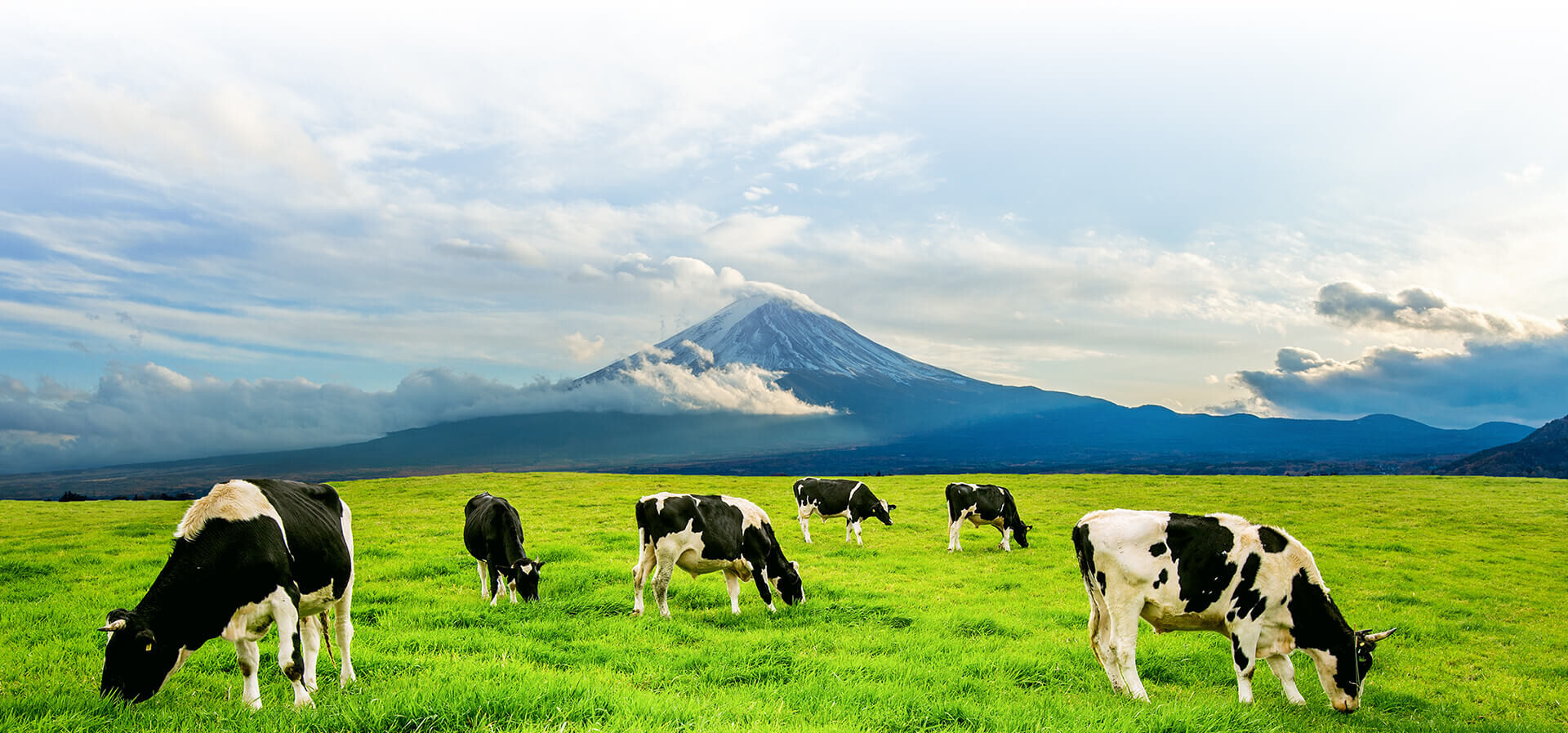 Минсельхозпрод изменил экспортные цены на некоторую молочную продукцию