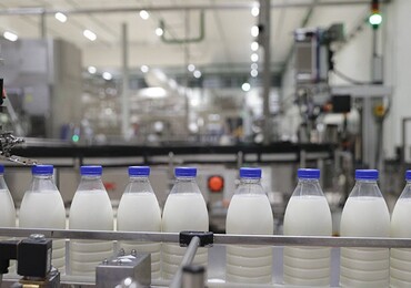 Минсельхозпрод: 80% молока производится на современных комплексах