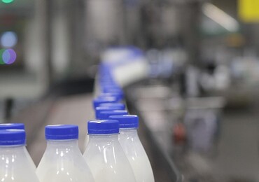 Минсельхозпрод: Беларусь прирастает в производстве молока