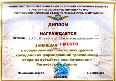 "Золотой" диплом от РОЧС