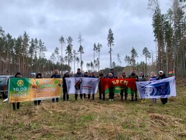 Зеленый след Рогачевского МКК